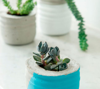 DIY beton potjes met melkflessen