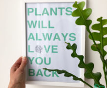 Kader met quote 'Plants will always love you back'.