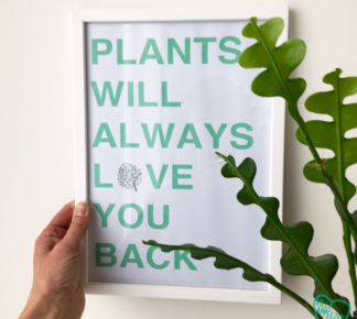 Kader met quote 'Plants will always love you back'.