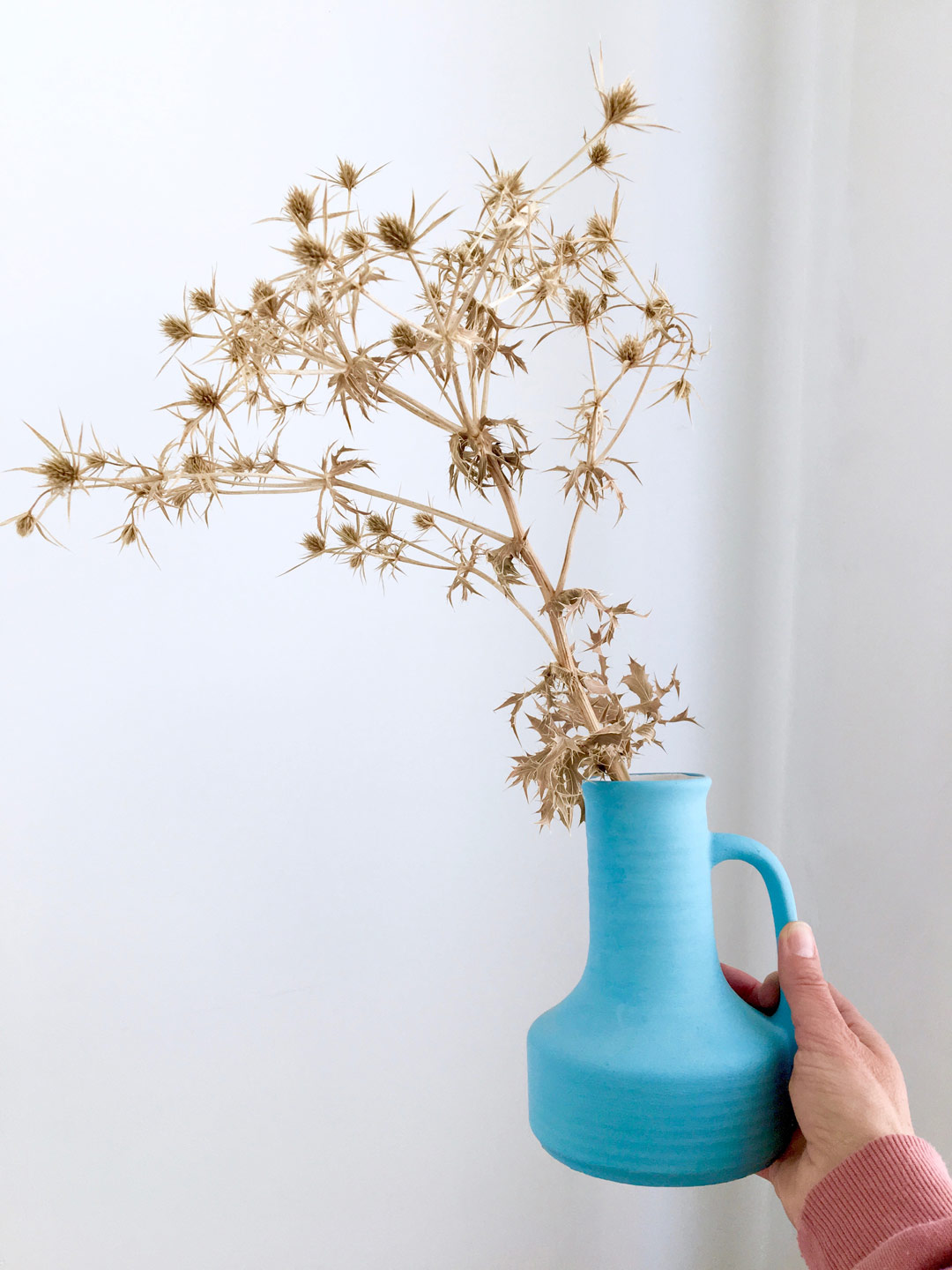 Thistel in blue vase held up by hand